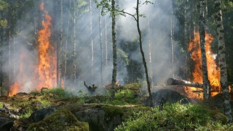 Висока опасност от пожари днес в 5 области