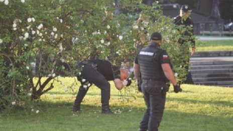 Бутилките, намерени край протеста, били пълни със запалителна течност