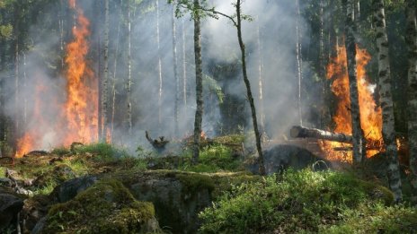Повишена опасност от пожар в 7 области на страната