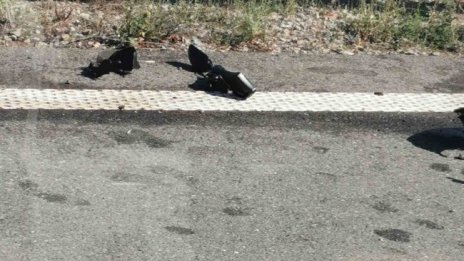 Мъж загина при катастрофа на пътя Ловеч - Плевен 