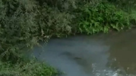 Водите на р. Русенски Лом отново в цветна гама