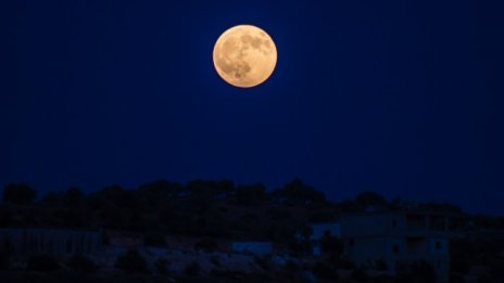 Хелоуин носи Синя Луна, която ще промени живота на 4 зодии