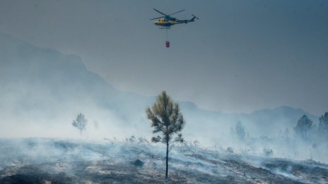 САЩ официално напусна Парижкото споразумение за климата