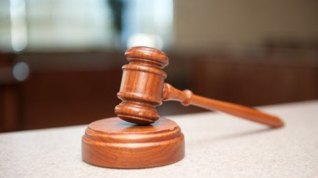 5 000 лв. за дете, ухапано от бездомни кучета на спирка