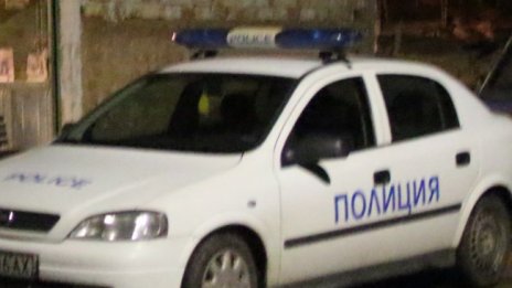 Мулета опасаха люцерната на ловец, той ги застреля