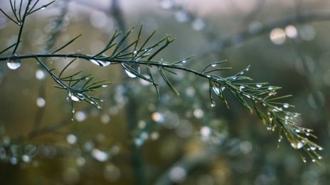 Времето днес облачно, чака ли ни първия сняг тази седмица?