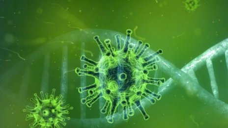 Учени: Мъжете губят по-бързо антителата при коронавируса