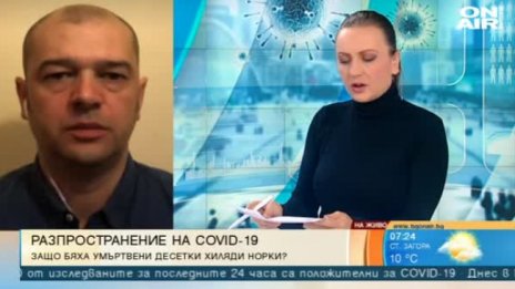 Умъртвяват милиони норки, идва ли бизнесът към Източна Европа?