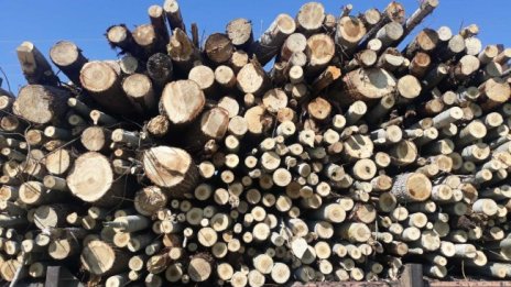 31 хил. семейства повече са получили помощ за отопление
