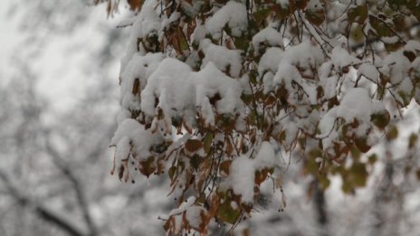 Заради снега: Четири села в Русенско без ток