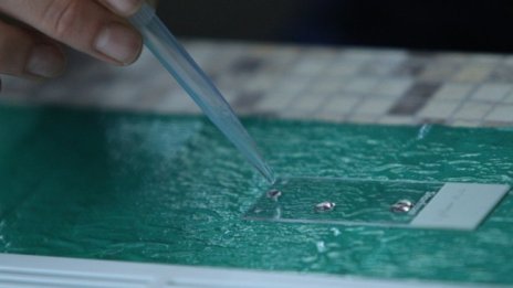 В Лондон инжектират първите ваксини на възрастни и медици