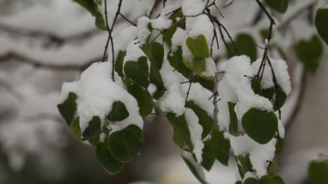 Астрономическата зима настъпва в 12.02 ч. днес