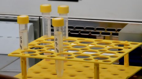 Откриха заразени с COVID-19  в домове за настаняване в Димитровград