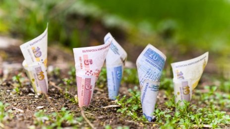 Млади семейства търсят ниви на село