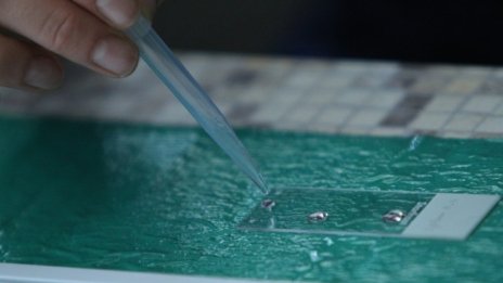 "Астра Зенека" открила как да подобри ваксината си