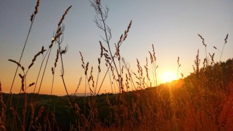 Валежите спират, слънцето ще стопли до 14° 