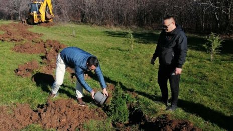 В Стара Загора подготвиха алея за живите коледни дръвчета