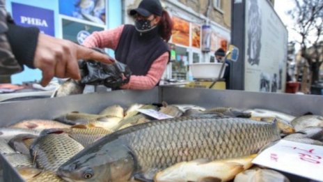66 хил. лв. са изплатени на производители на риба заради коронакризата