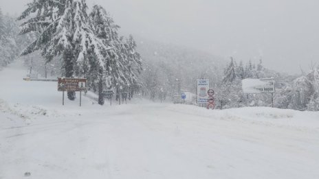 Снежната покривка в планината край Габрово достигна 40 см