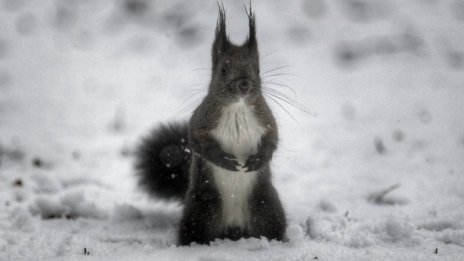 Облачна неделя, вечерта ще вали дъжд, градусите до 13&deg;C