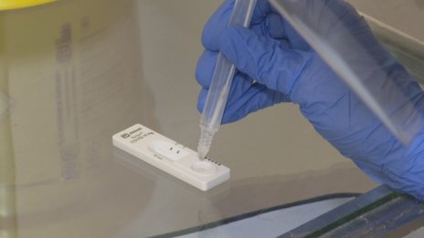 Работодателят ще плаща PCR-теста при командировка 