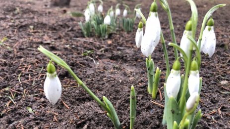 Още един необичайно топъл февруарски ден &ndash; до 16&deg;