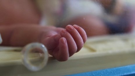 Бейби бум ли? Пандемията не доведе до ръст на ражданията