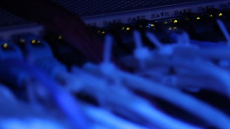 При пандемията: Тролове превзеха социалните мрежи