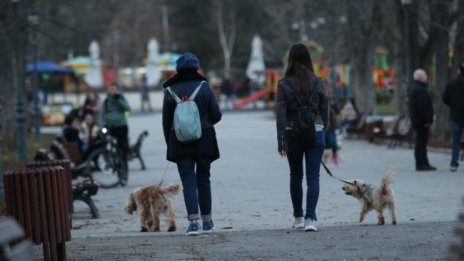 Слънчево и топло, температурите стигат 18 градуса