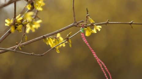 Посрещаме пролетта днес с дъжд и с температури 5&deg; - 10&deg;