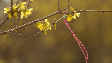 Очаква ни слънчев и топъл уикенд