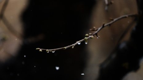 Вятърът ще се засили, температурите стигат до 19&deg;