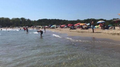 На плажа ни очакват по-големи барове, каква ще бъде цената на сянката?