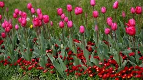 Температурите ще стигнат до 28 градуса, какъв април ни очаква?