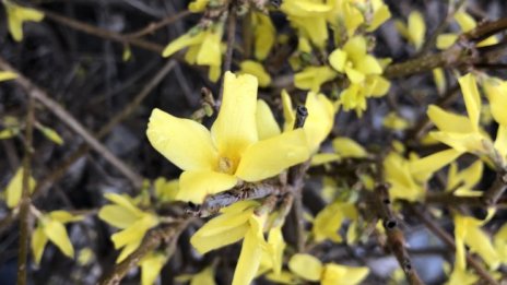 Слънчево ще е днес, температурите ще достигнат 16 градуса