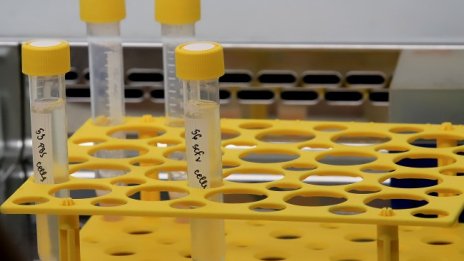 Британският щам се разпространява 1,32 пъти по-бързо 
