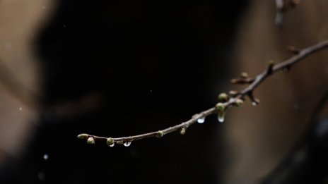 Слънчево и малко по-топло, температурите ще са 8&deg; - 13&deg;