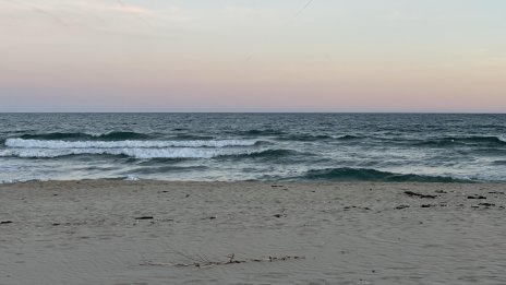 Проверка: Няма видими замърсявания от мазут на плажа или в морето край Варна