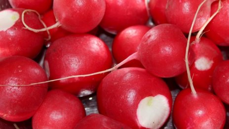 4 ползи от хапването на репички