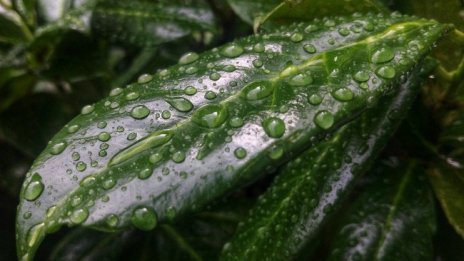 Дъждовно и хладно и във вторник, повече слънце - в сряда