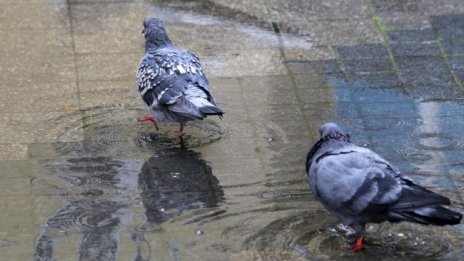Облачно, ще вали дъжд главно в Южна България