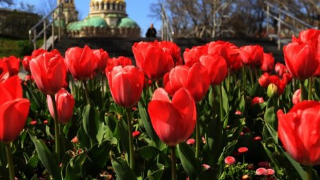 Слънчево с пролетни температури ще е времето утре