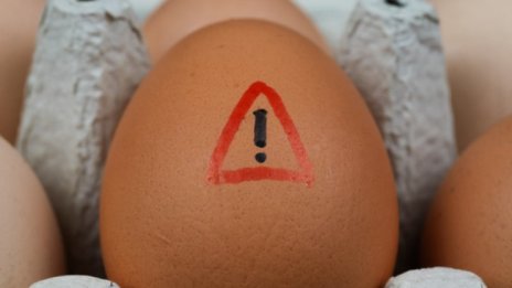Как да разпознаете разваленото яйце? 