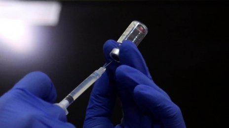 В Русия вече ваксинират и животни срещу COVID-19