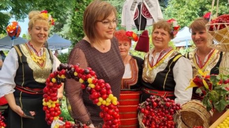 Нинова: Защо изкупната цена на черешите е 90 ст., а се продават за 7 лв.?