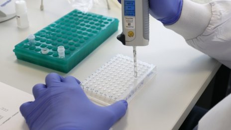 Присъда в Белгия за фалшив документ за COVID изследване