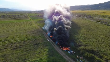Анализ: Над 90% от горските пожари у нас са резултат от човешка намеса