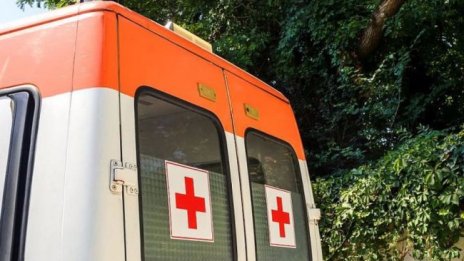 Клон на дърво падна и уби жена в Разградско