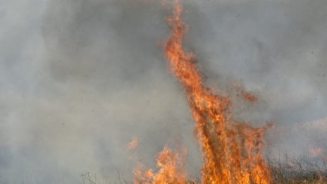 Жители на Мармамрис се евакуират заради бушуващия пожар