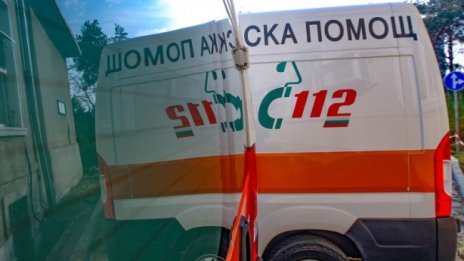 Домашно куче нападна дете, захапало го по устните 